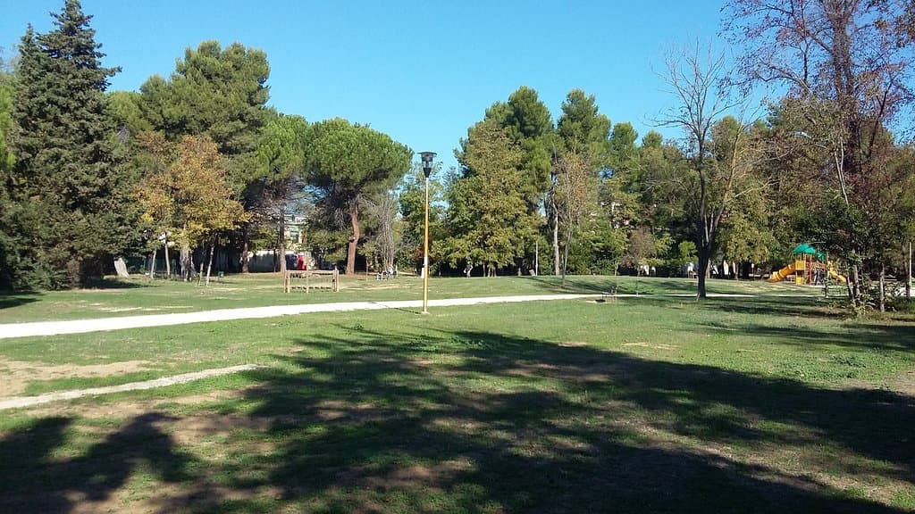 vista