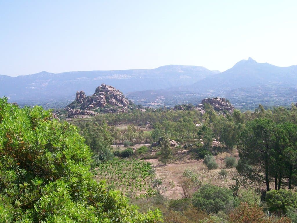 Veduta dal sito verso l'interno