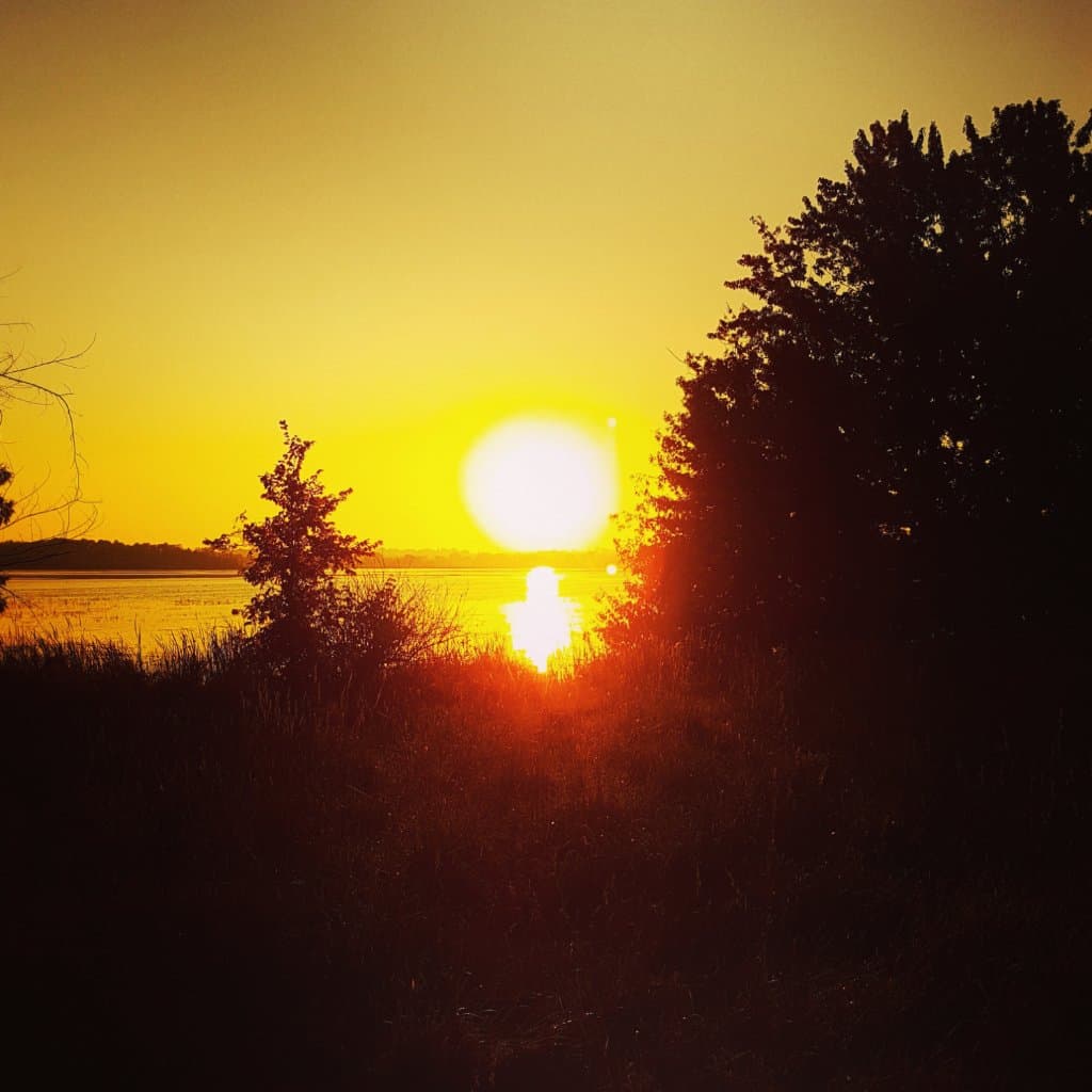 The sun rises over Sturgeon Lake from Ken Reid Conservation Area.