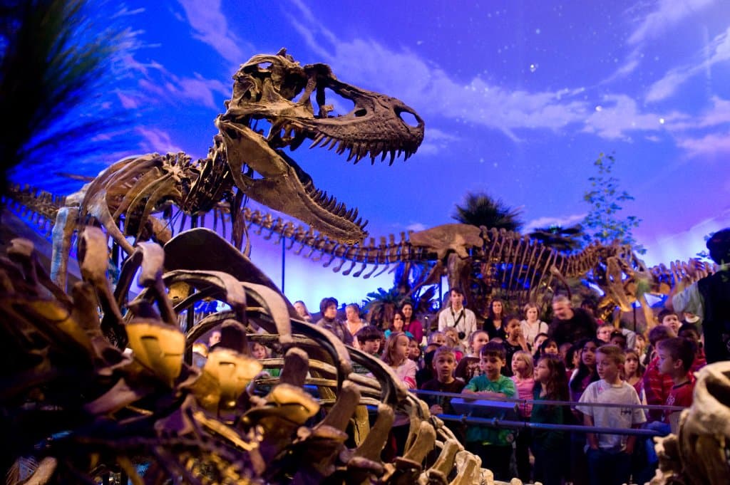 Dinosphere at The Children's Museum of Indianapolis.