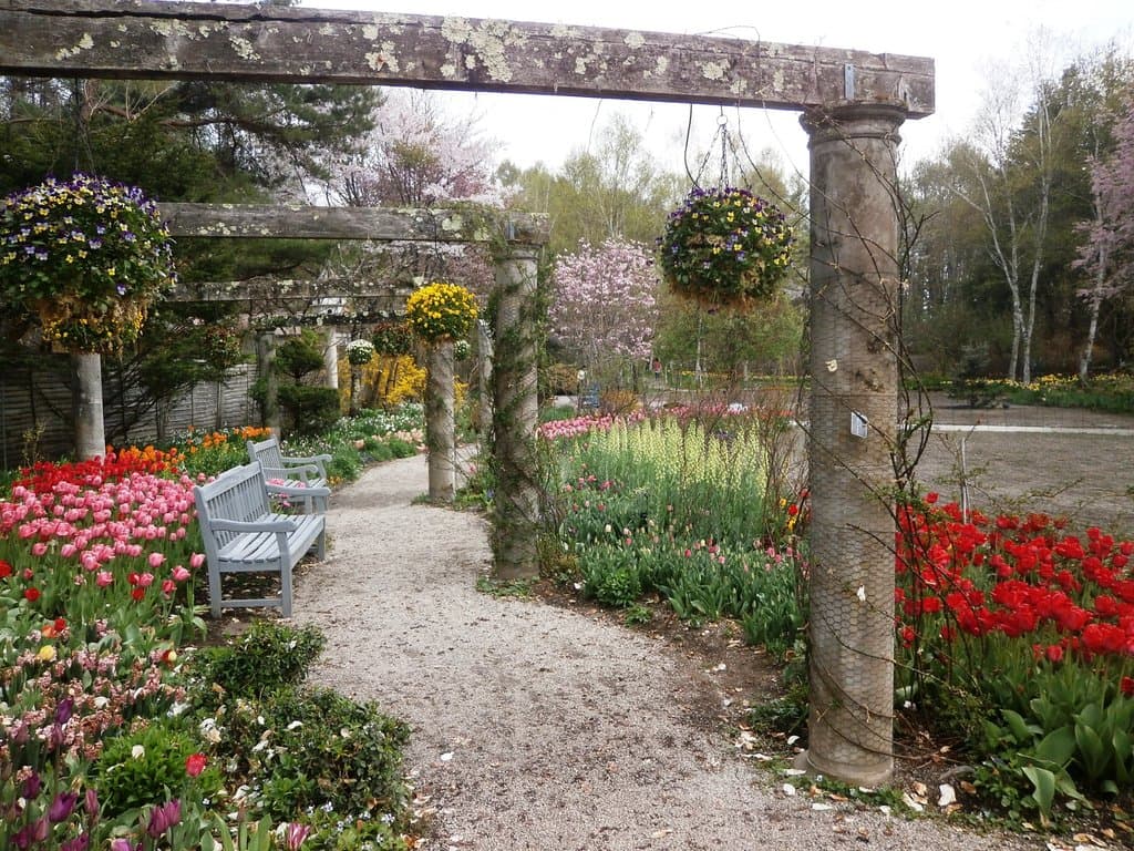 【5月上旬】球根花のじゅうたん