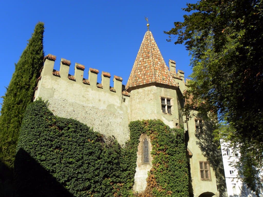 Die landesfürstliche Burg.