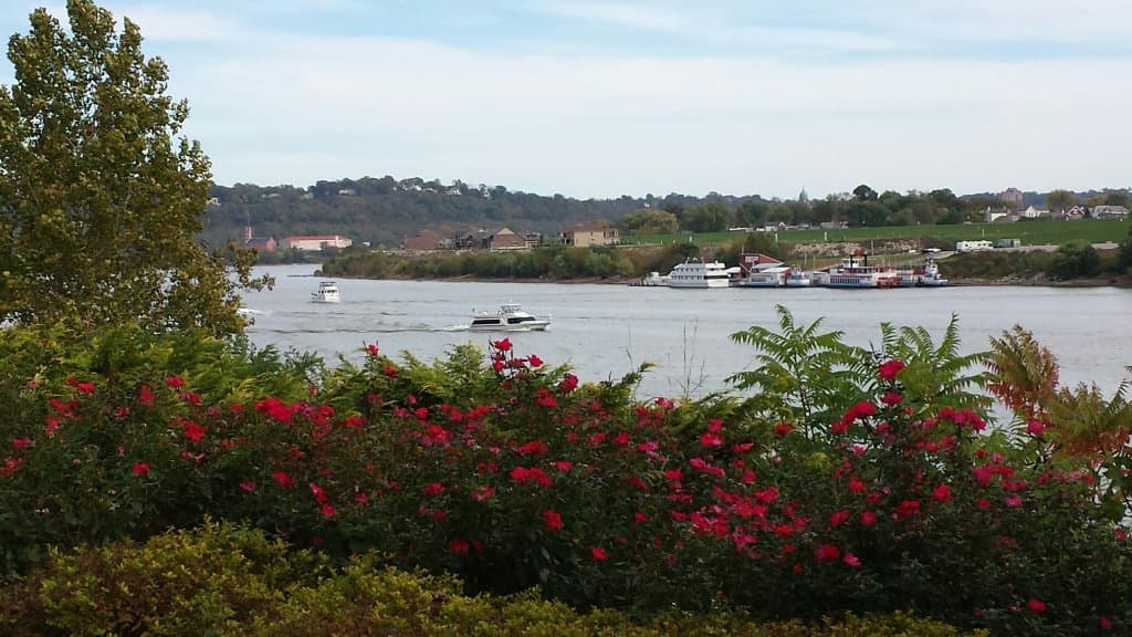 Roses with a view of the Ohio River