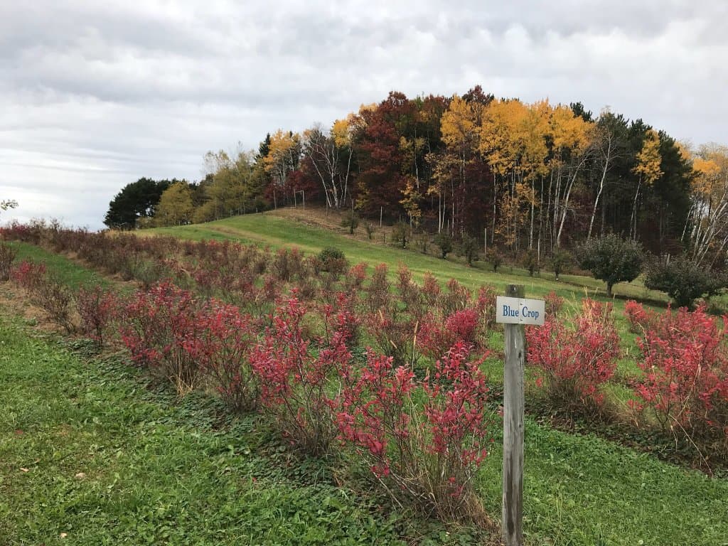 Autumn Harvest Winery & Orchard