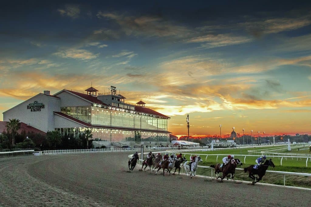 Live Horse Racing