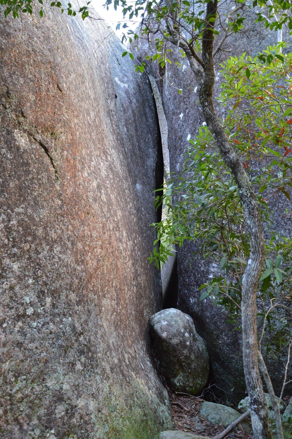 Rocky area