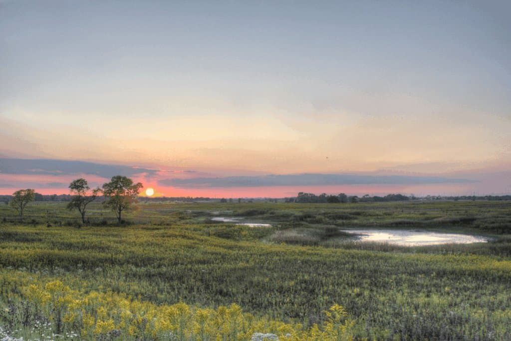 Country sunset in Naperville