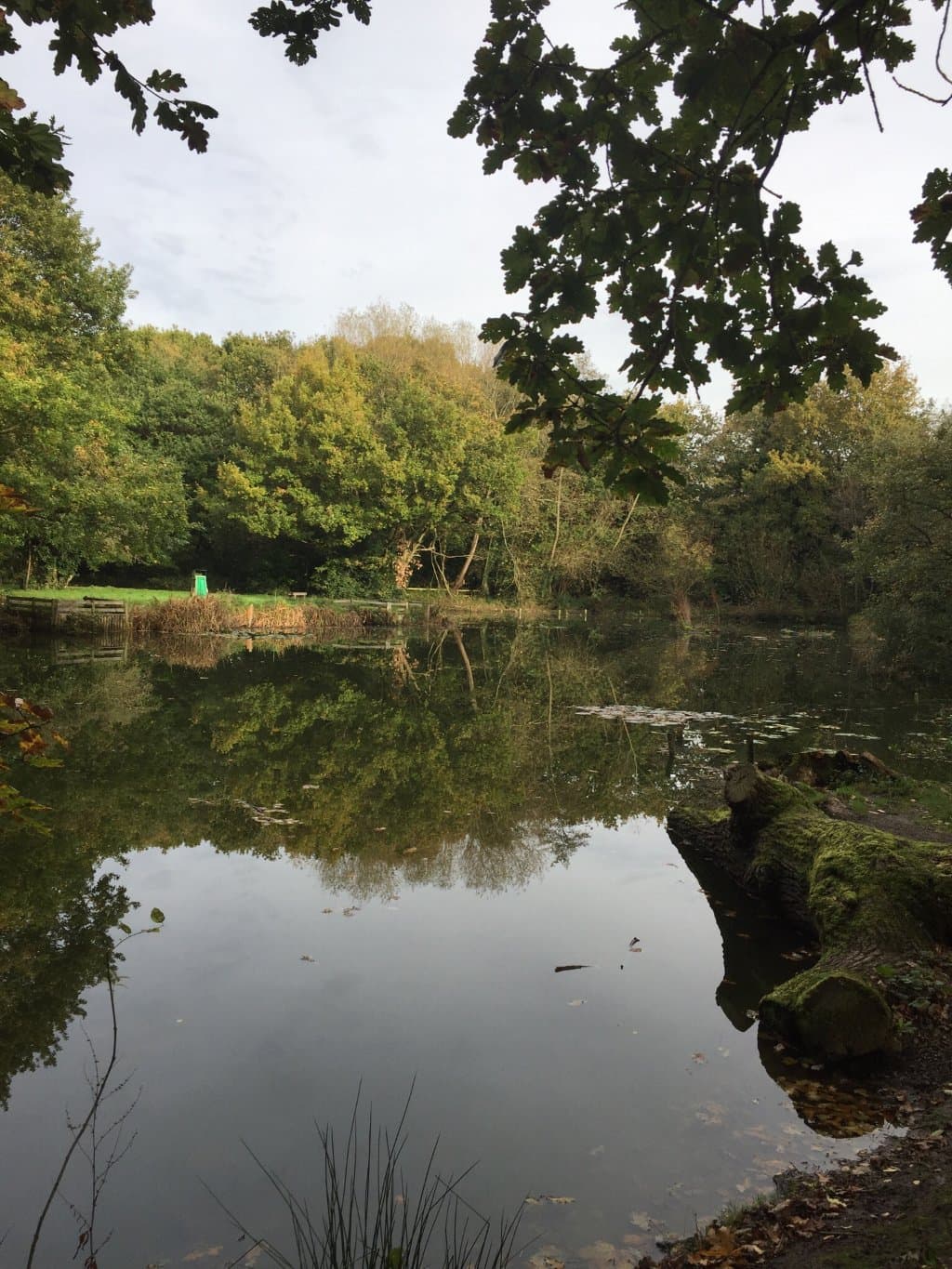 Dibbinsdale Local Nature Reserve