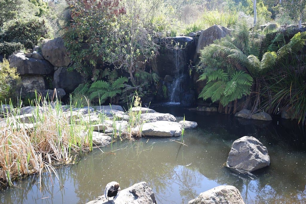 water hole water fall