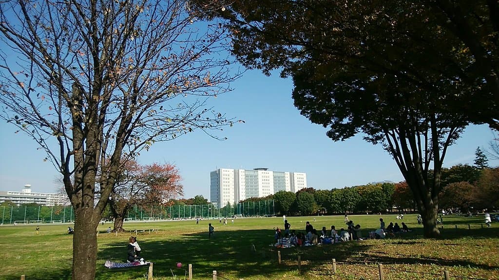 初秋