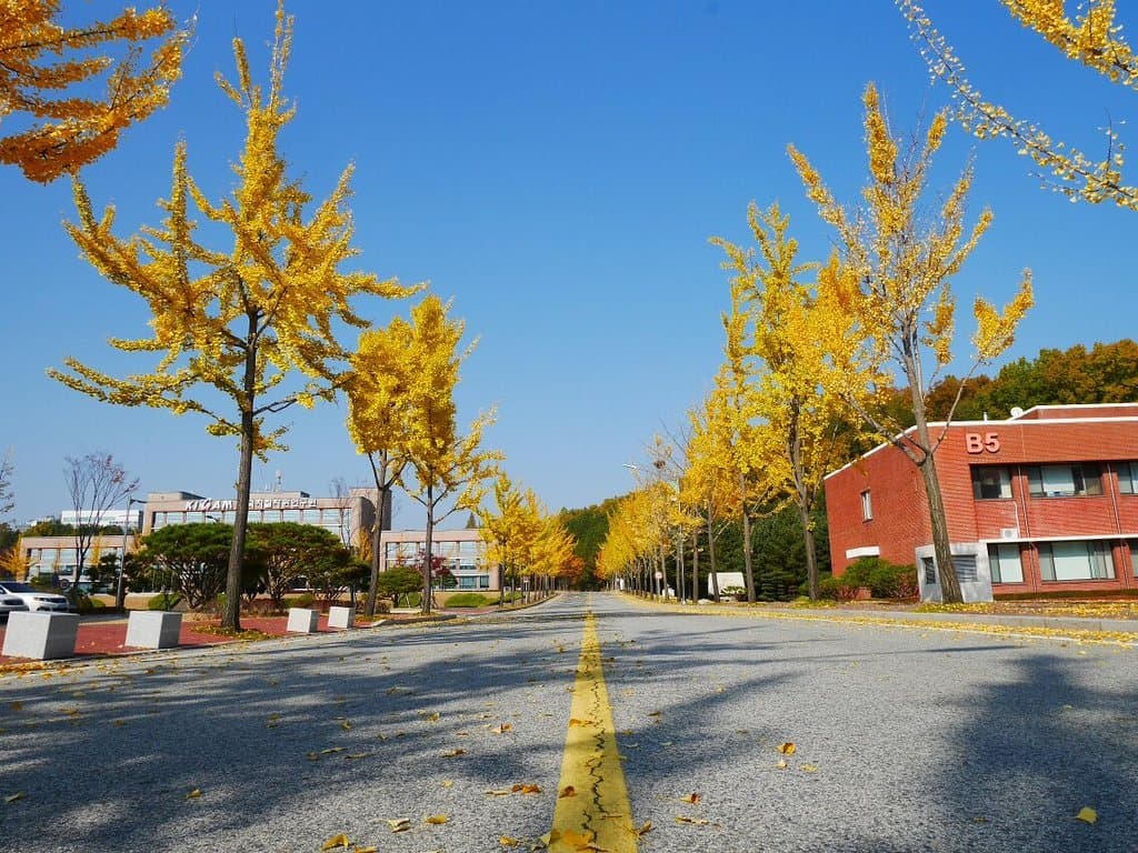 KIGAM Geological Museum