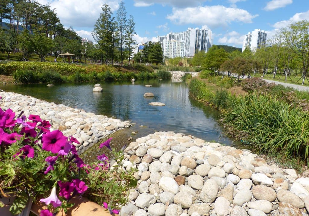 Another area of the lake