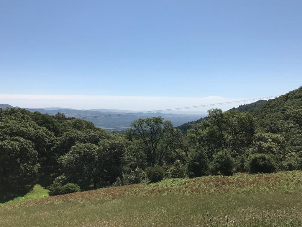 Cresting over to the Sonoma side.