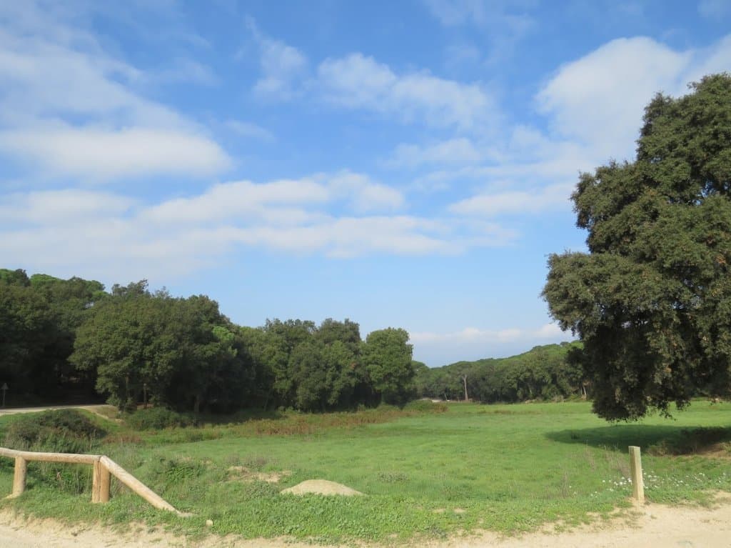 Espacio natural para disfrutar al lado del santuario del Corredor