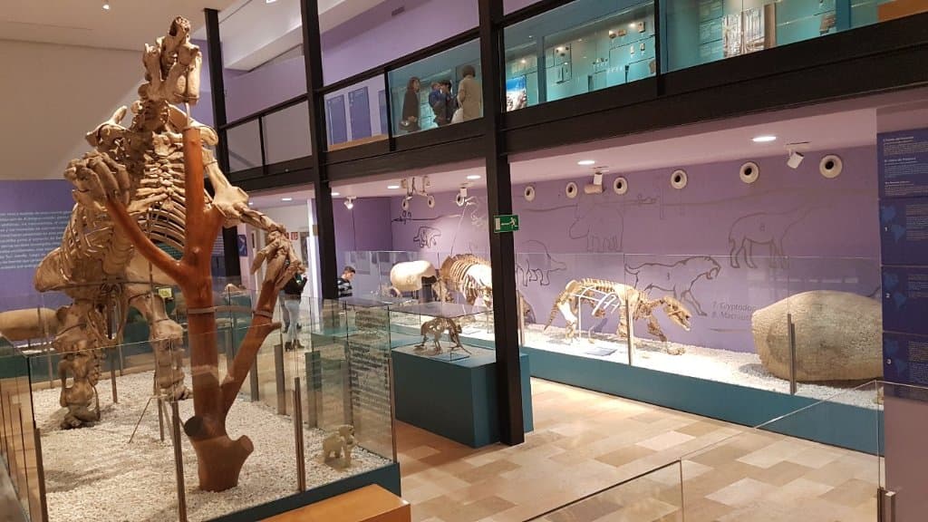Museo de Ciencias de Caracas