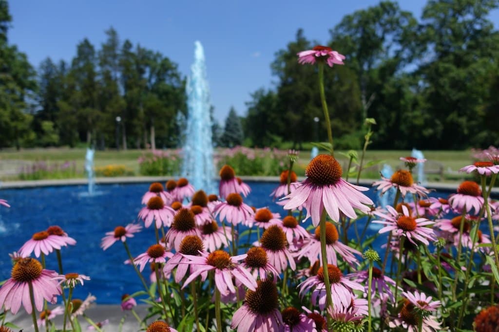 A fountain and flowers at Duke Farms