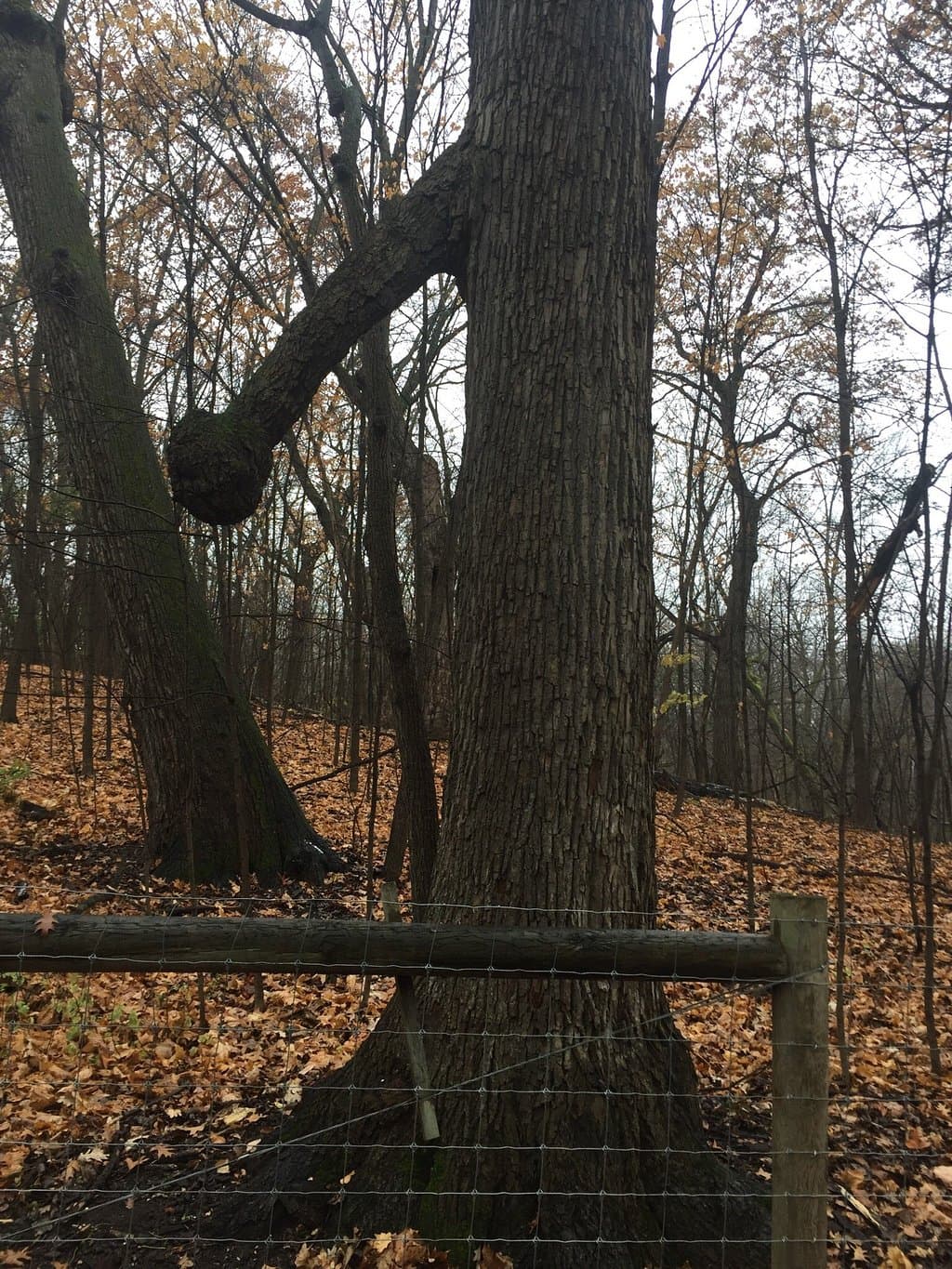 Minnewashta Regional Park