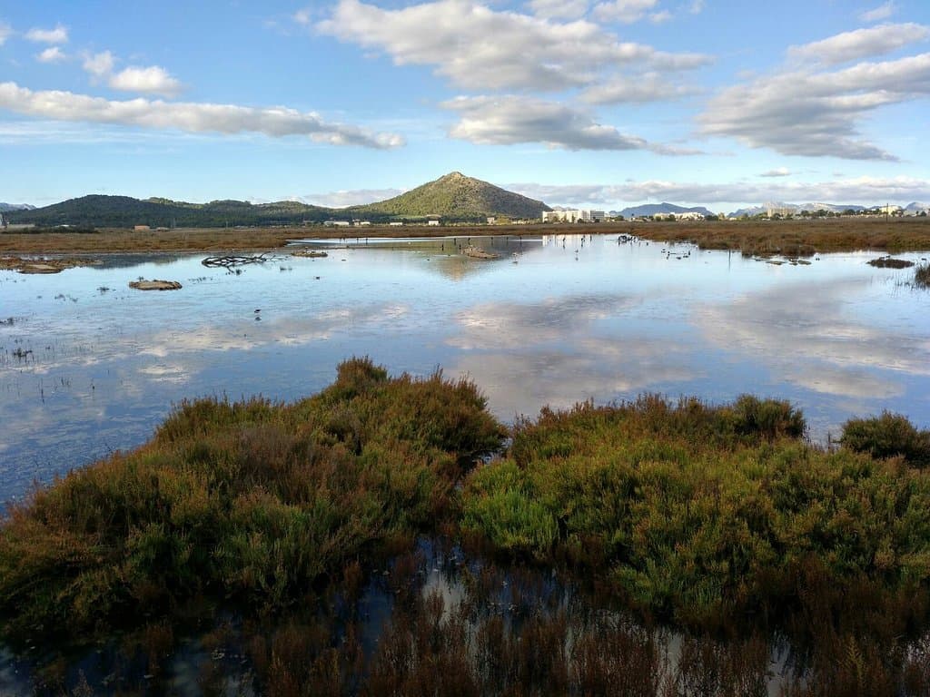 Parc Natural de s'Albufera de Mallorca