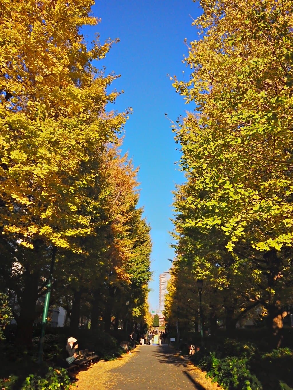 Hamacho Park