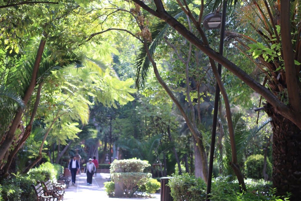Parque Benito Juárez
