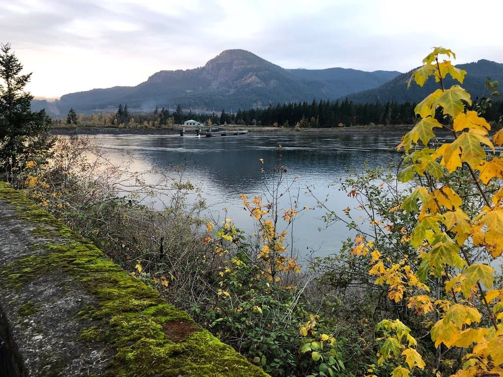 Bonneville Dam Fish Hatchery