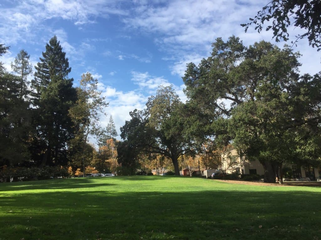 Отличная поляна для отдыха.