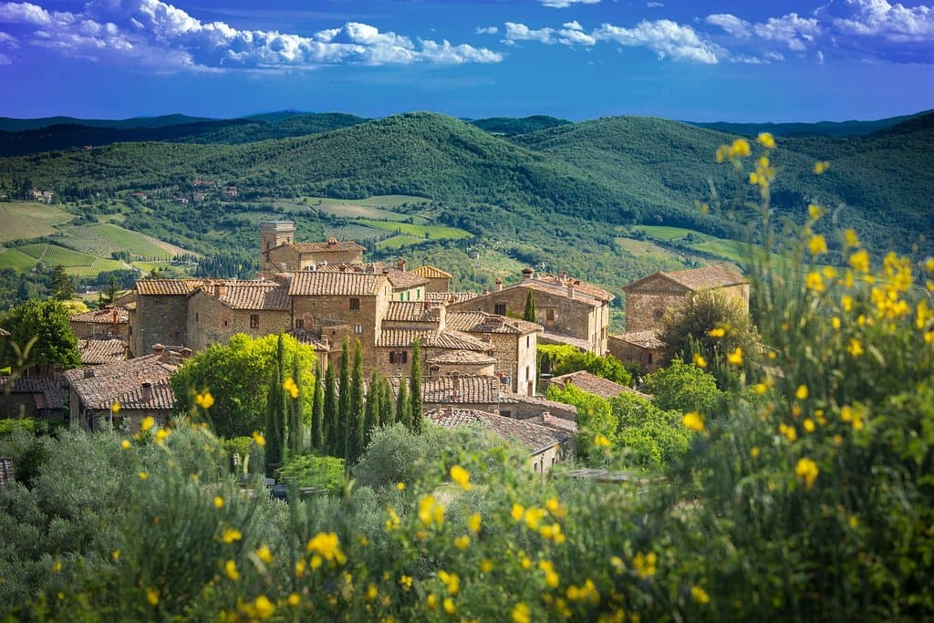 Volpaia dall'alto