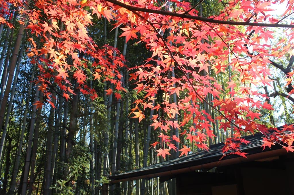 Shokado Garden and Art Museum