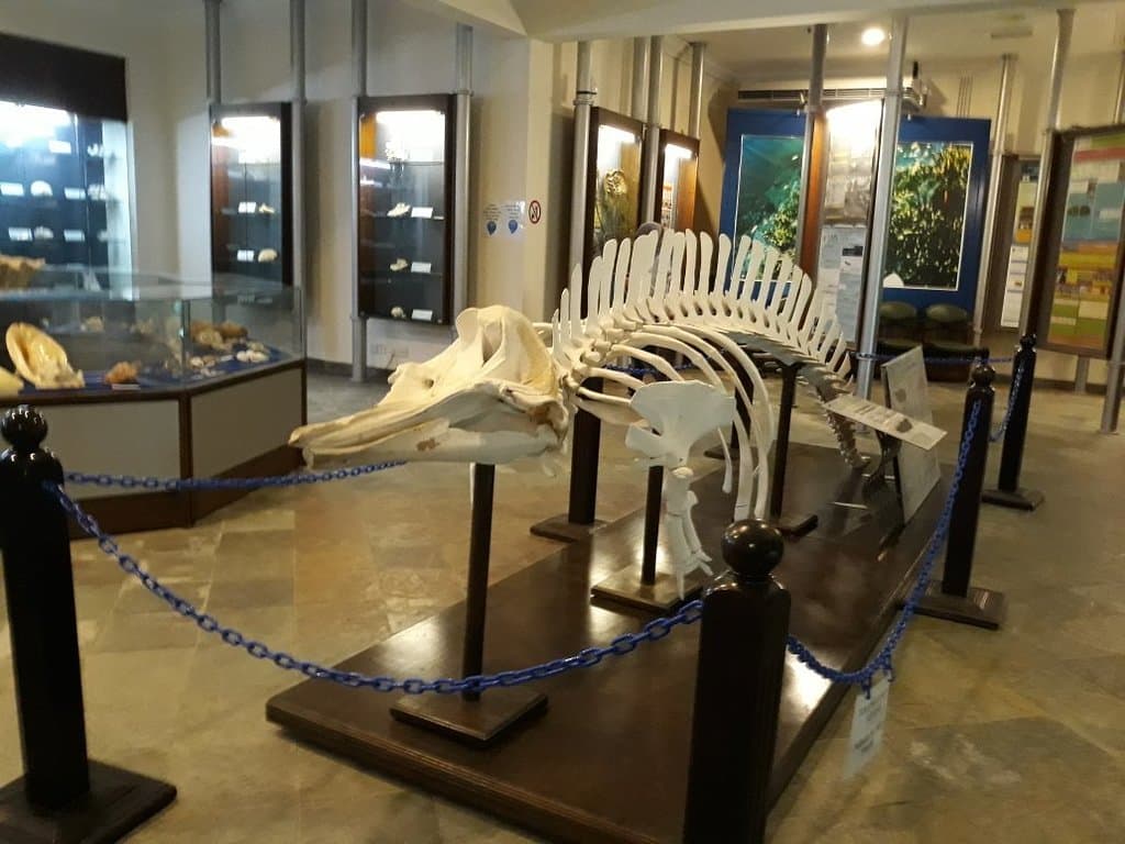 Marine Aquarium and Museum