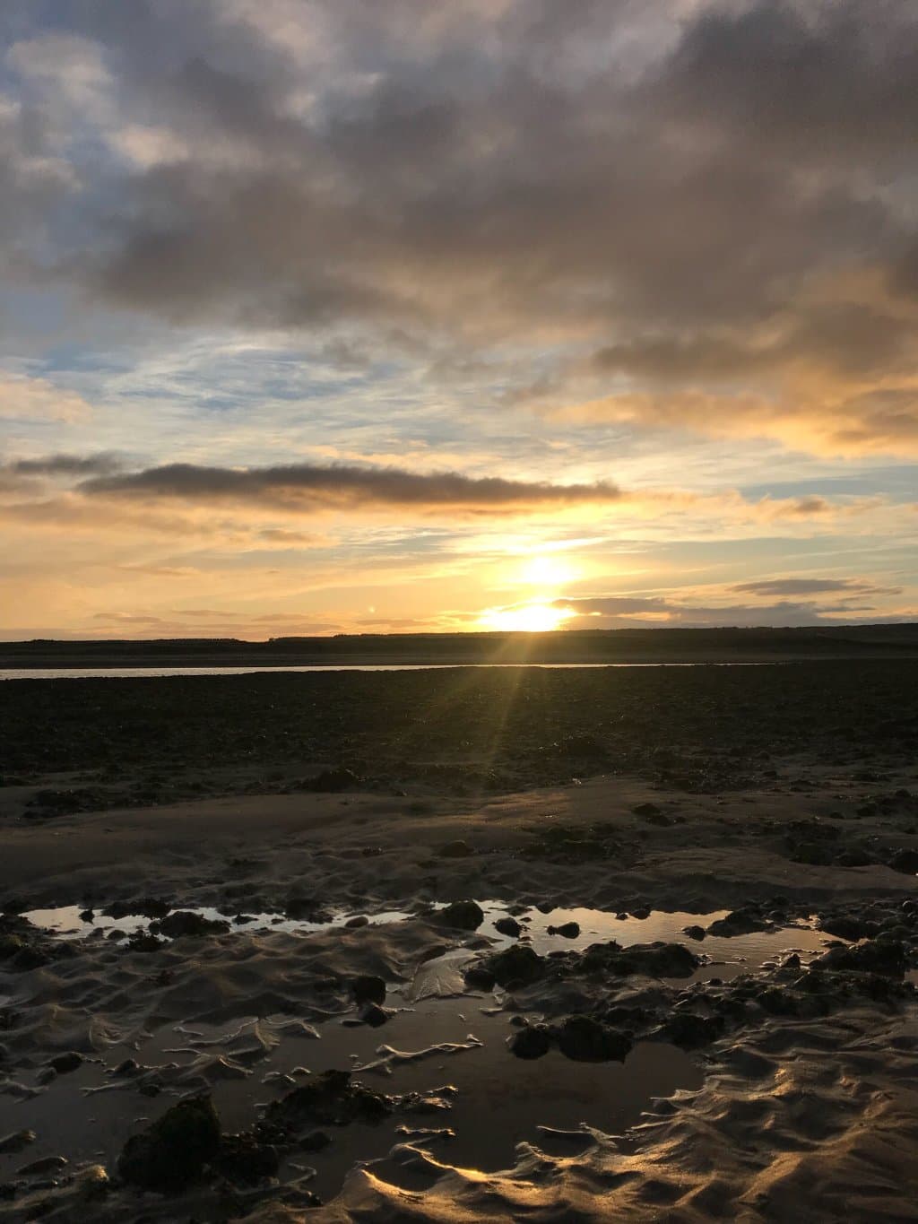 Loch Fleet National Nature Reserve