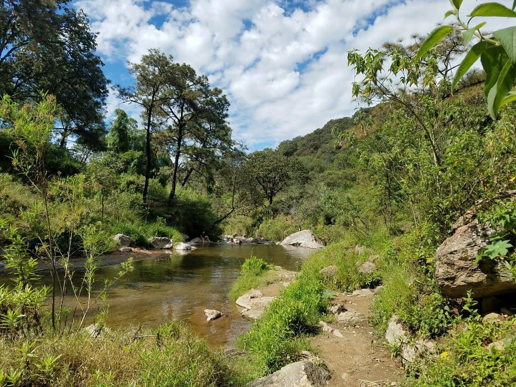 Bosque La Primavera