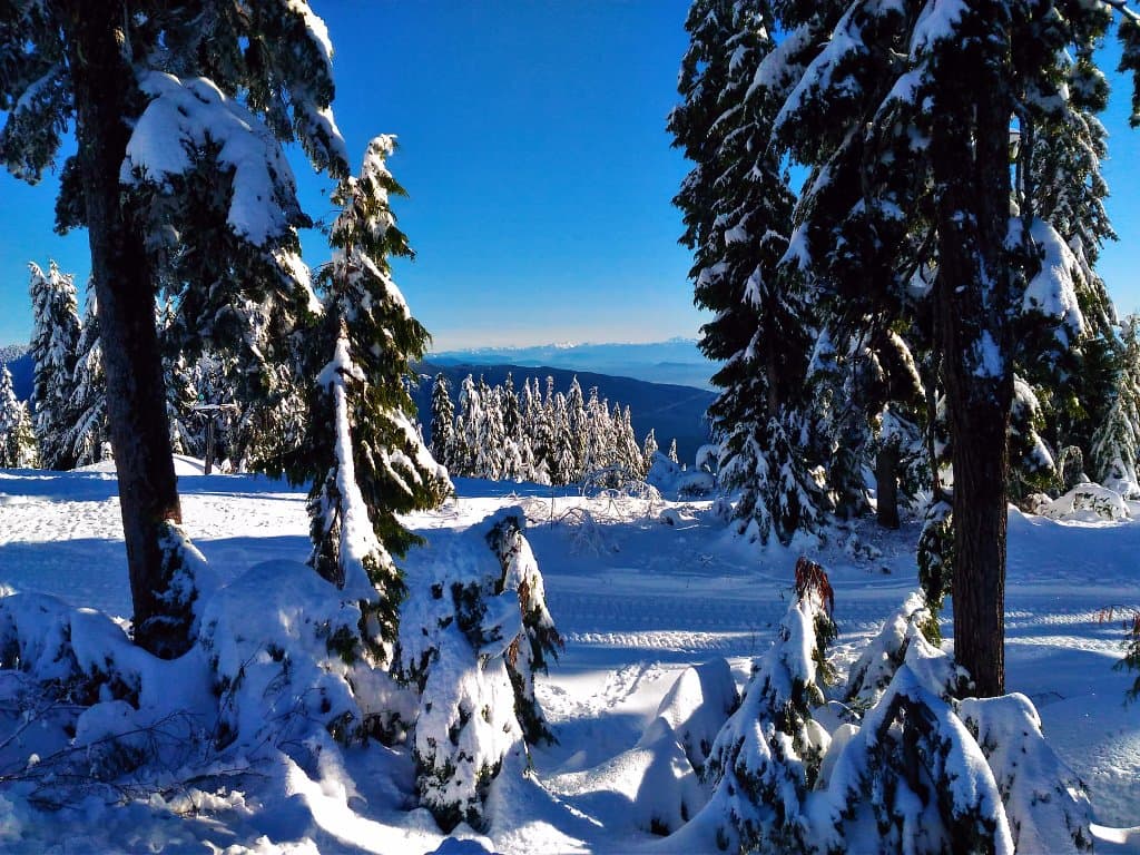 Help Treker hits the slopes on first snow fall of 2017