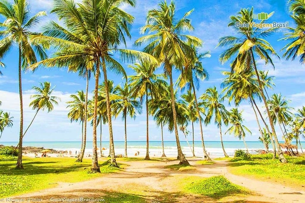 Vista da entrada da Praia do Resende