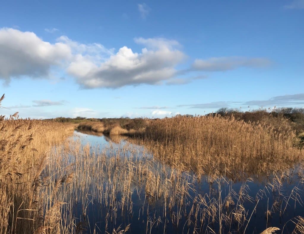 Schiermonnikoog National Park