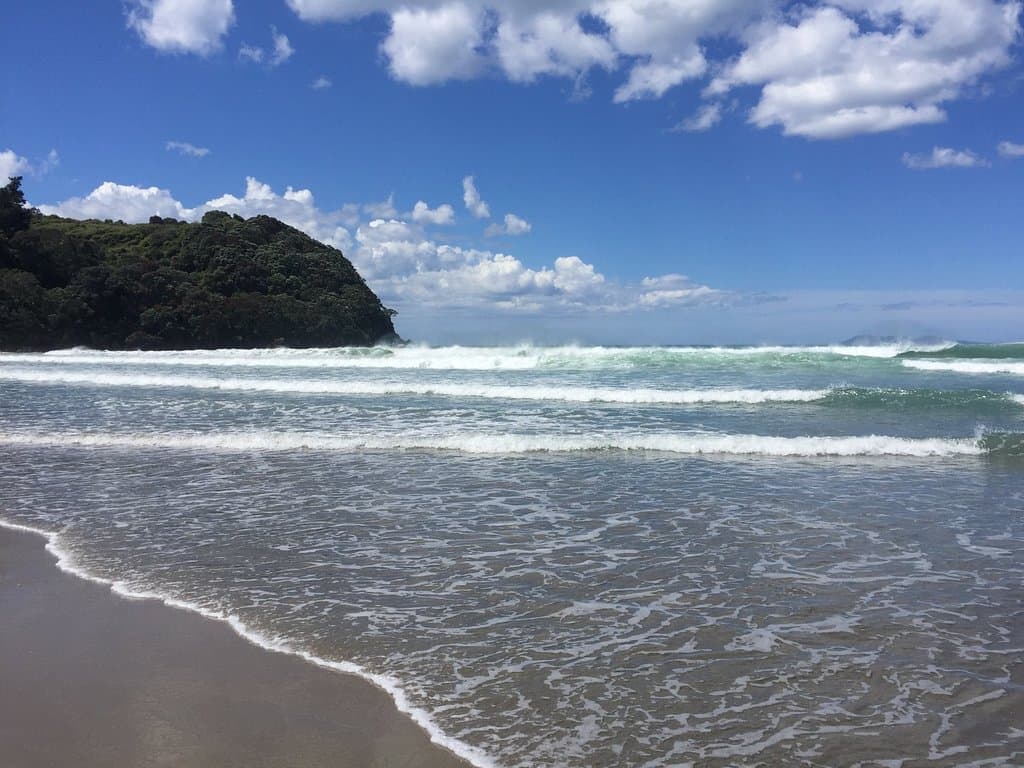 Waihi north
