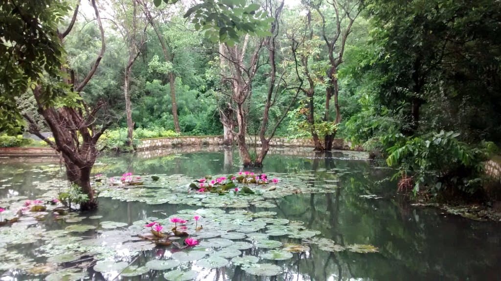 Ekant park
