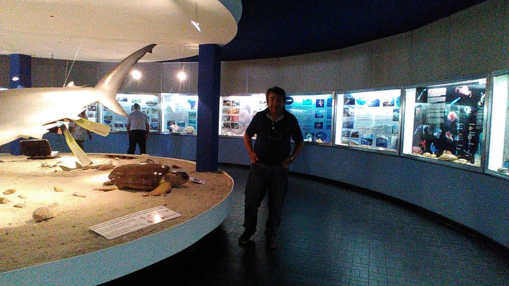 Foto do espaço interno do museu