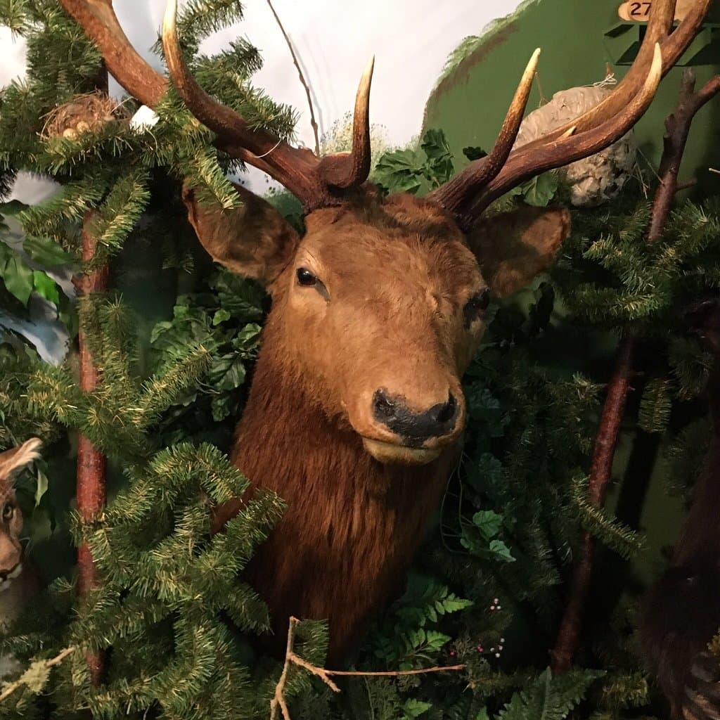 Coastal Interpretive Center