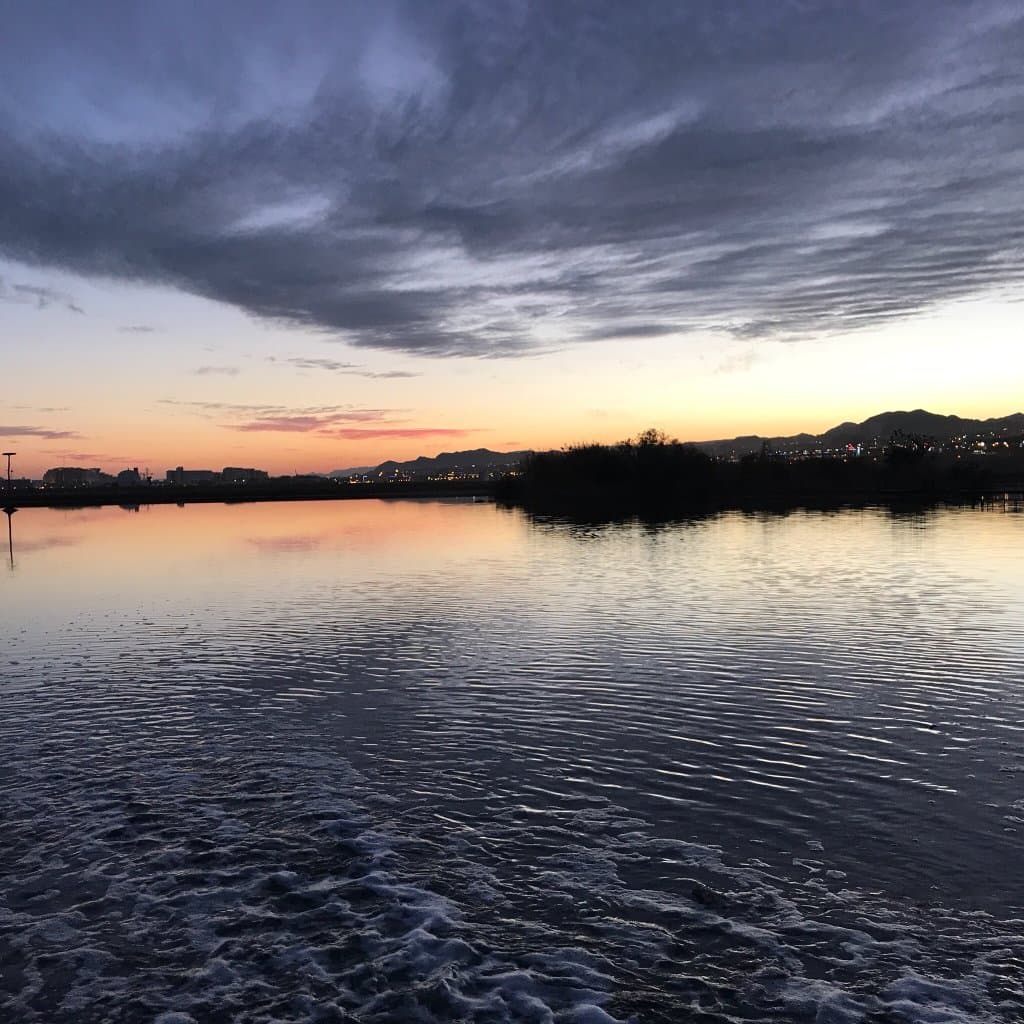 Eilat Birdwatching Park