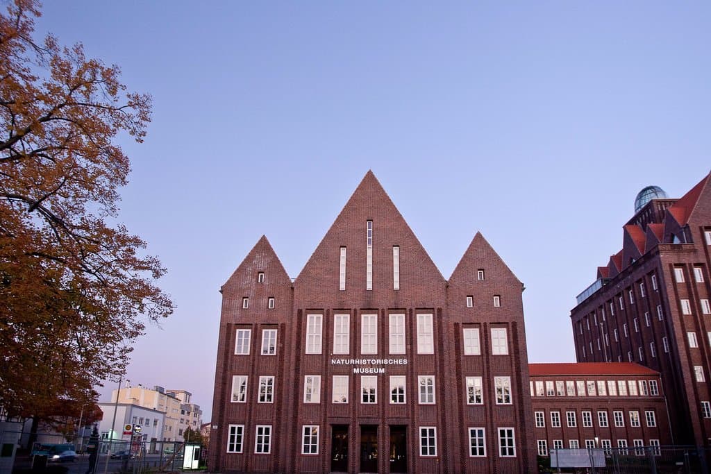 Ansicht auf das Staatliche Naturhistorische Museum