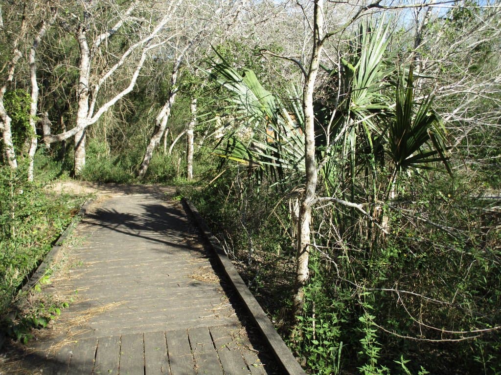 Antoher trail