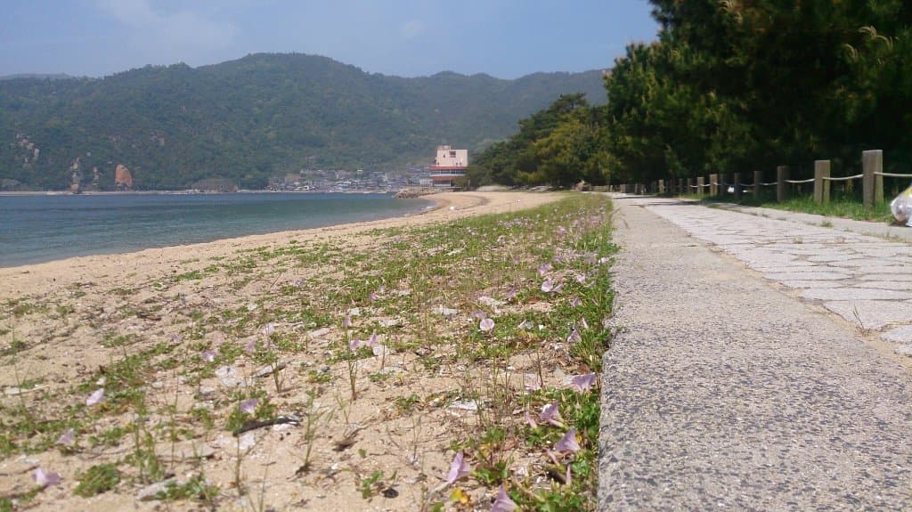 Katsuragahama Beach
