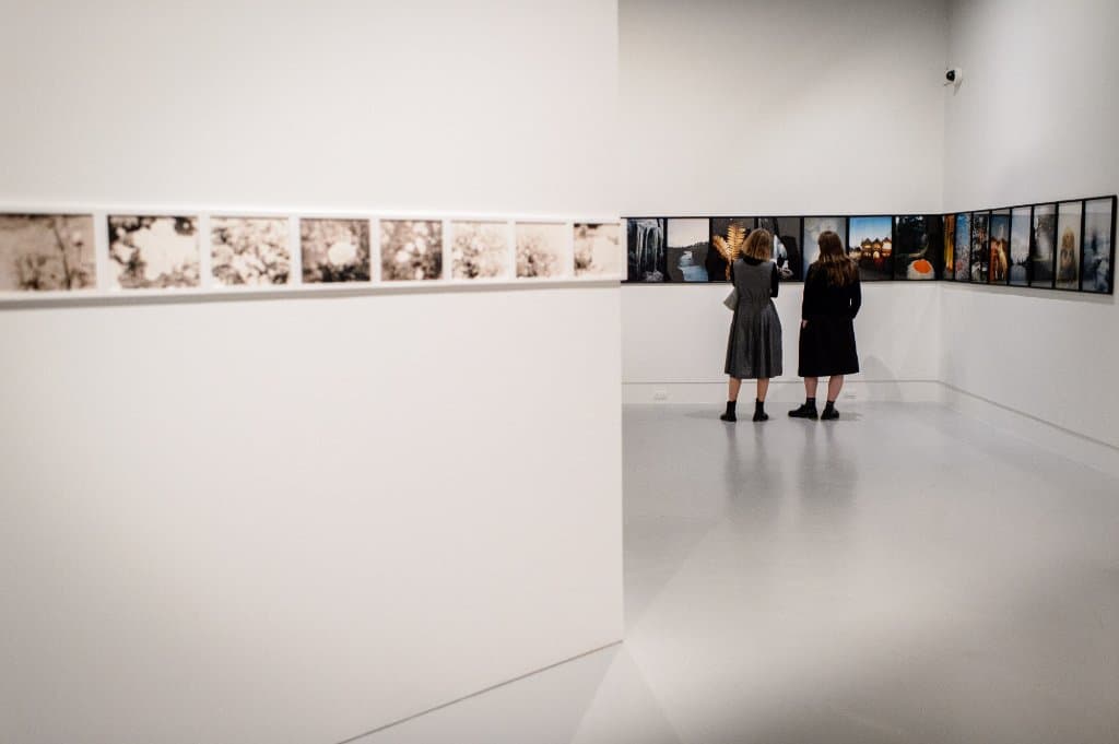 Gavin Hipkins: The Domain - Opening night November 2017.  Photo: Mark Tantrum