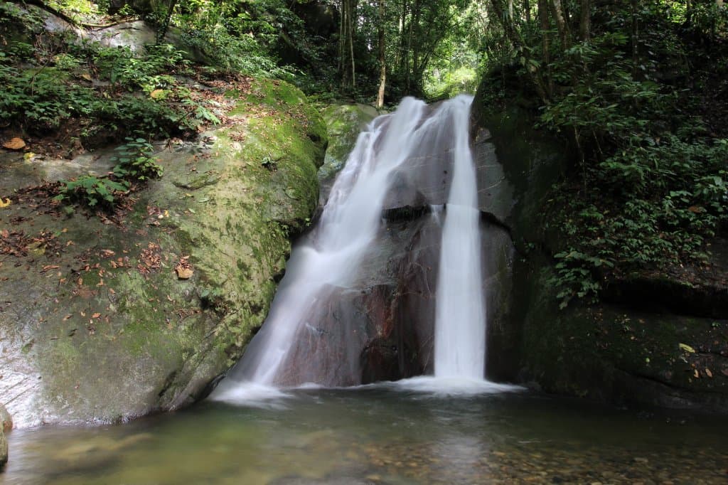 ๆญฅ้ๅ
ฅๅฃ็Kipungit Waterfall