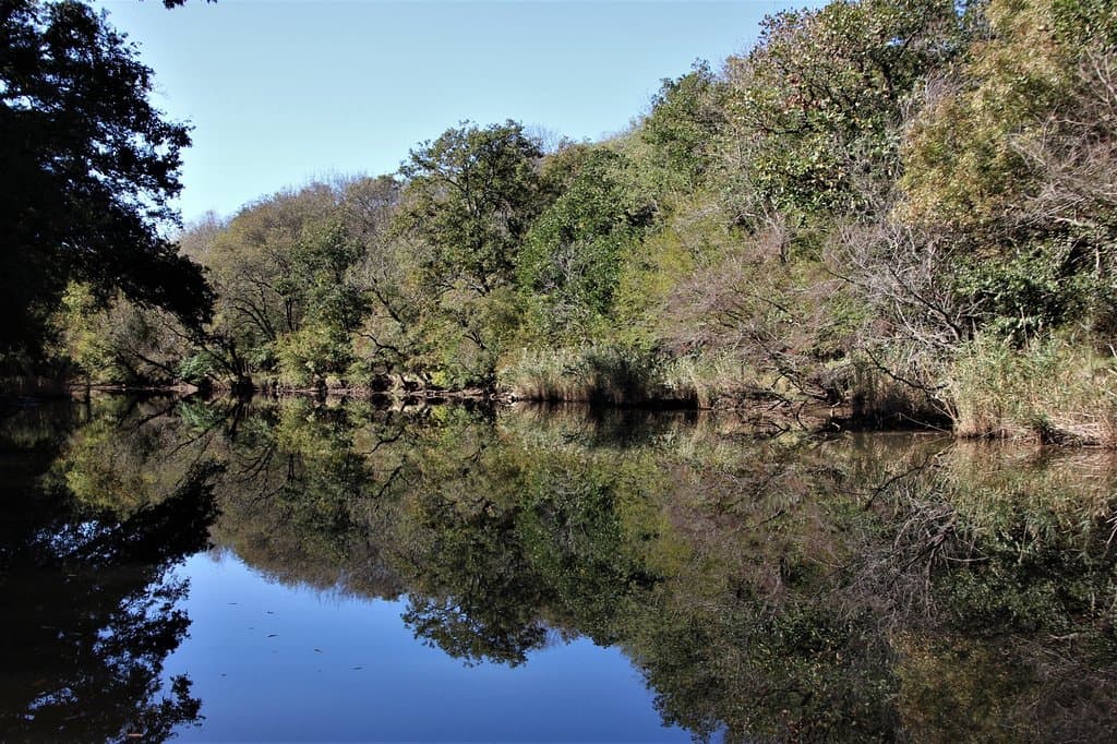 Herrliche Aulandschaft