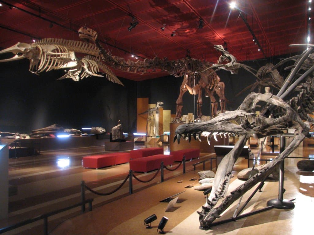 いわき市石炭・化石館　ほるる