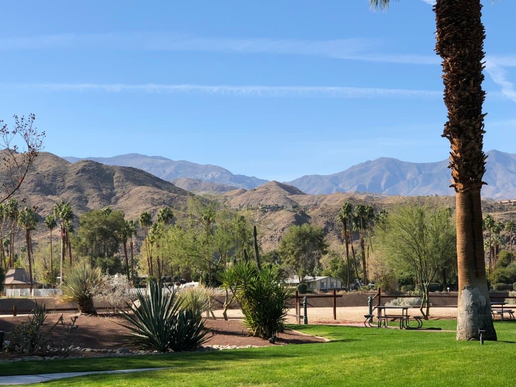 Michael S Wolfson Park