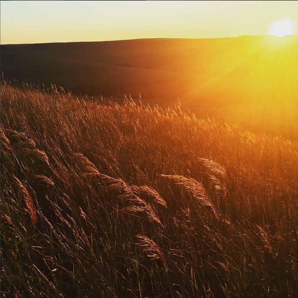 Sunrise at the Konza