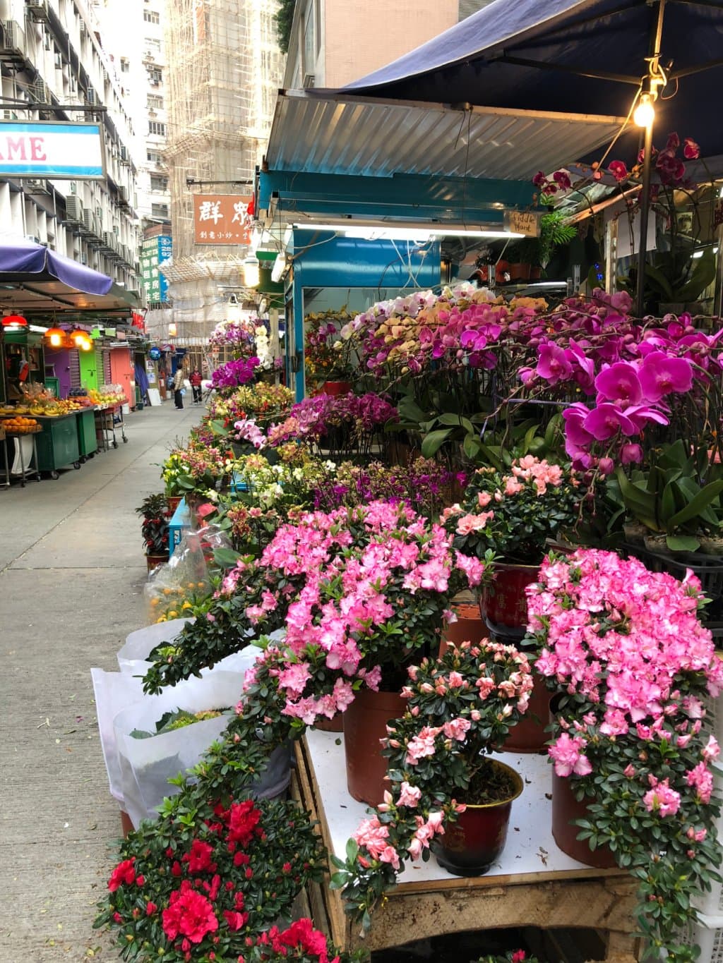Gresson Street - CNY flower market (4) 