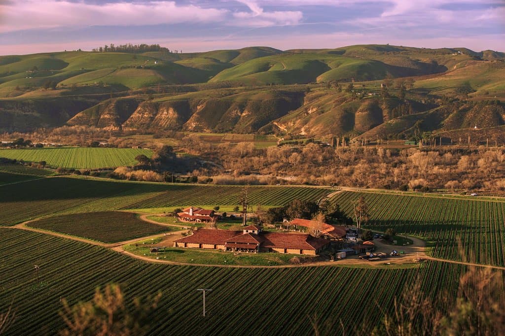 Sanford Winery from above